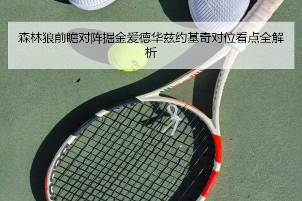 森林狼前瞻对阵掘金爱德华兹约基奇对位看点全解析